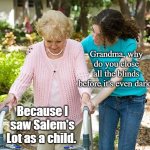 Sure grandma let's get you to bed | Grandma, why do you close all the blinds before it's even dark? Because I saw Salem's Lot as a child. | image tagged in sure grandma let's get you to bed | made w/ Imgflip meme maker