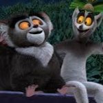 Madagascar Lemurs