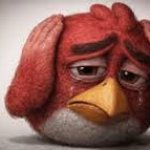 Angry bird