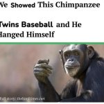 We shoed this chimpanzee