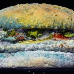 burger king food