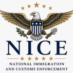 NICE Logo