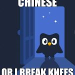 Duolingo bird | chinese; or I break knees | image tagged in duolingo bird | made w/ Imgflip meme maker