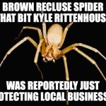Let's start a GoFundMe! | Brown recluse spider that bit Kyle Rittenhouse; was reportedly just protecting local businesses | image tagged in brown recluse spider,kyle rittenhouse,blm,ar15 | made w/ Imgflip meme maker