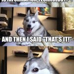 LOLZ | Someone recently said "What is information technology?". And then I said "That's IT!" | image tagged in memes,bad pun dog,random bullshit go,big booty,why is the fbi here | made w/ Imgflip meme maker