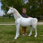 Boy with licorn