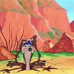 Wile E Coyote in pain