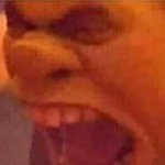 Shrek yelling Shrek gritando