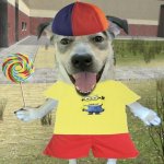 propeller hat dog