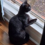 Me wondering