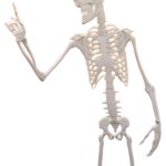 Megamind's Skeleton