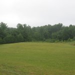 Empty field