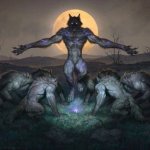 alpha wolf group