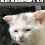 I make memes on Imgflip primarily on Weekdays with a few times on Weekends. | Me when it becomes a School week and besides doing school work my other job is making memes on Imgflip: | image tagged in i'm awake but at what cost,imgflip | made w/ Imgflip meme maker