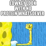 No eggs is crazy | How vegans lowkey look with no protein whatsoever | image tagged in spongebob weak arm | made w/ Imgflip meme maker