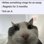 Cat looks inside | Writes something cringe for an essay; Regrets for 3 months; Got an A | image tagged in cat looks inside | made w/ Imgflip meme maker
