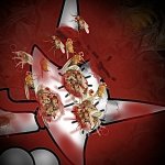 Fruit Flies... meme