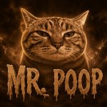MR. POOP CAT