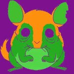 sezure chinchilla GIF Template