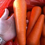 Chinese Carrots