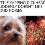 Little dickhead