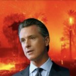 Gavin newsom template