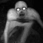 the rake