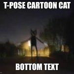 Bro is t-posing | T-pose cartoon cat; Bottom text | image tagged in cartoon cat,t pose,goofy ahh | made w/ Imgflip meme maker