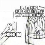 Bird in a cage | Everything I need is in this case why would I leave? Freedom | image tagged in bird in a cage | made w/ Imgflip meme maker