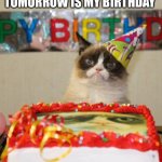 I turn 16 tomorrow | Tomorrow is my birthday | image tagged in memes,grumpy cat birthday,grumpy cat | made w/ Imgflip meme maker