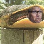 Post Turtle Randy