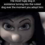 This just seems to happen | The most fugly dog in existence turning into the cutest dog ever the moment you adopt him: | image tagged in gifs,dogs,relatable,cute,ugly,adoption | made w/ Imgflip video-to-gif maker