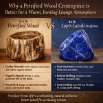 A 37.4-pound polished petrified wood piece is an superior center