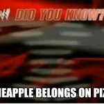 wwe did you know | Pineapple belongs on pizza | image tagged in wwe did you know | made w/ Imgflip meme maker