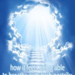 e | how it feels being able to breathe with both nostrils: | image tagged in heaven,peace,finally inner peace,relatable,relatable memes | made w/ Imgflip meme maker