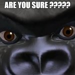 Are You Sure | ARE YOU SURE ????? | image tagged in are you sure | made w/ Imgflip meme maker