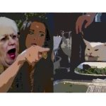 Virginia Foxx Yells At Cat