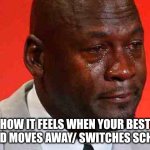 I'm Gonna Miss Him/Her | how it feels when your best friend moves away/ switches schools | image tagged in crying michael jordan,school | made w/ Imgflip meme maker