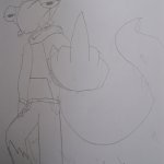 BRUD FLIPS YOU OFF meme