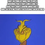 The mall for example..... (because I like malls) | when you do a soft silent fart in public and the people around you start smelling it and they don't know who did it and see a few people accusing each other | image tagged in grinch evil face,public,silent,soft,fart | made w/ Imgflip meme maker
