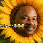 sonflower meme