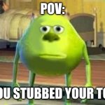 Last meme, goodbye for a couple months | POv:; you stubbed your toe | image tagged in mike wazowski meme,memes,funny,relatable | made w/ Imgflip meme maker