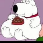 I love chocolate but I cant eat it because i'll get fat