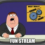 fun stream | fun stream | image tagged in fun stream | made w/ Imgflip meme maker