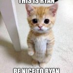 Cute Cat | This is Ryan; Be nice to Ryan | image tagged in memes,cute cat | made w/ Imgflip meme maker