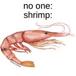 idk why I made this | no one:
shrimp: | image tagged in shrimp,memes,fish | made w/ Imgflip meme maker