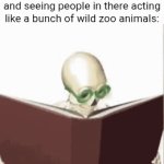 The chatroom | Me opening up the chatroom and seeing people in there acting like a bunch of wild zoo animals: | image tagged in gifs,chatroom,memes,blank white template,chat,room | made w/ Imgflip video-to-gif maker
