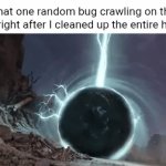 Bug | That one random bug crawling on the floor right after I cleaned up the entire house: | image tagged in gifs,bugs,bug,blank white template,memes,house | made w/ Imgflip video-to-gif maker