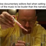 Why do so many documentaries do this | How documentary editors feel when setting the volume of the music to be louder than the narrator’s voice: | image tagged in walter white cooking,documentary | made w/ Imgflip meme maker