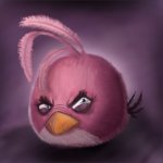 realistic angry birds stella meme template template